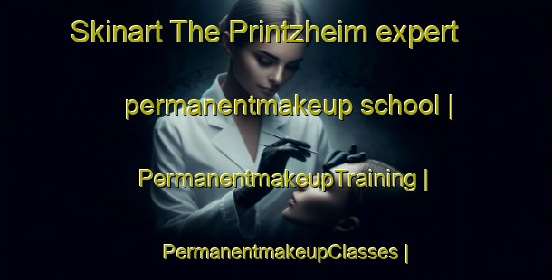 Skinart The Printzheim expert permanentmakeup school | PermanentmakeupTraining | PermanentmakeupClasses | SkinartTraining-France